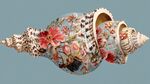 花卉圖案精美海螺工藝品
