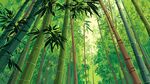 翠綠竹林 清新自然景象
