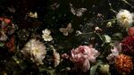 繁花間蝶舞的夢(mèng)幻景致