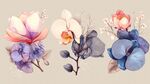 水彩風(fēng)花卉組合插畫