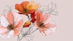 手繪粉色系花卉插畫作品