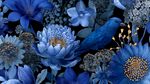 藍(lán)色夢幻花鳥花卉圖案