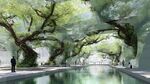 夢幻樹廊下的靜謐水景