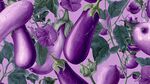 紫色茄子花卉綠葉插畫