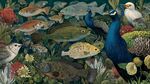 孔雀與魚(yú)的奇幻自然圖景