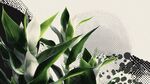 綠植與幾何圖案創(chuàng)意組合
