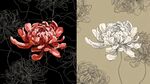 雙色菊花圖案設(shè)計(jì)素材