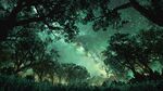 夢(mèng)幻森林中的璀璨星空