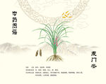 麥門(mén)冬中藥材麥冬