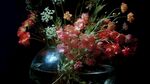 花瓶中的多彩花卉組合