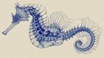 藍(lán)色線條勾勒的夢幻海馬