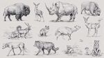 動(dòng)物素描集合