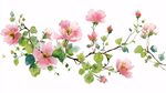 粉色花卉枝條水彩插畫