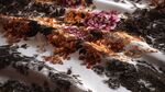 花卉圖案精美布料細(xì)節(jié)