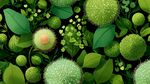 綠色植物花卉無(wú)縫圖案