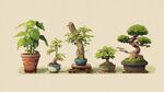 多樣盆景展示
