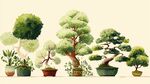 各式精美盆栽展示