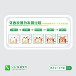 口腔牙科文化牙齒脫落的發(fā)展過(guò)程