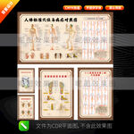 人體標準穴位圖