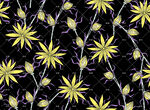黃色花卉黑色背景圖案