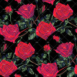 紅玫瑰花卉圖案背景