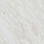 奢雅 新傳爆款石材 高清新圖 