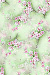 淡粉花朵綠色背景圖案