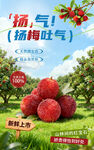 楊梅海報