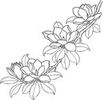 玉蘭花卉線條勾勒圖 矢量圖