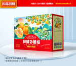 砂糖桔包裝 桔子禮盒