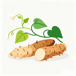 山藥矢量插畫素材