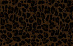 豹紋圖案背景紋理