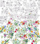 彩色花卉圖案與黑白線稿對(duì)比