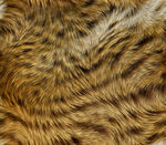 棕色毛絨紋理特寫