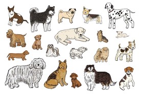 狗狗小狗矢量素材