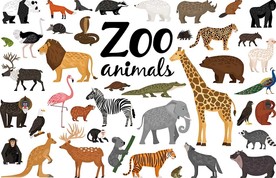 动物世界矢量卡通插画