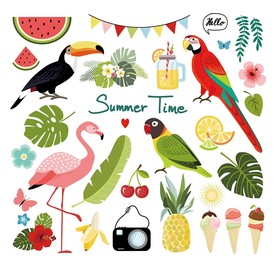 夏季鹦鹉火烈鸟矢量插画素材