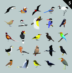 手绘鸟类插画素材