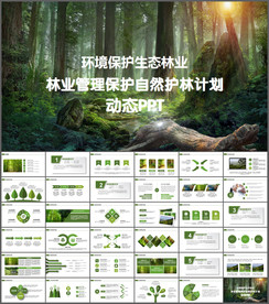 環(huán)境保護(hù)生態(tài)森林森業(yè)PPT