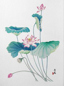 彩绘荷花
