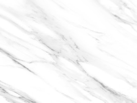 会所 奢华新鱼肚白 tif合层