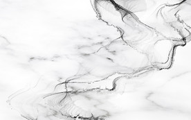 高雅新豪华鱼肚白 tif合层