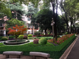 绿化景观设计效果图