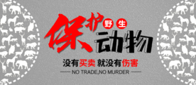 保护野生动物
