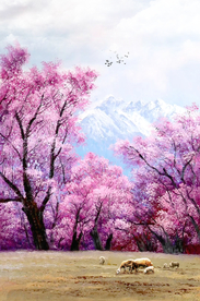 风景油画