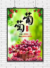 葡萄海报