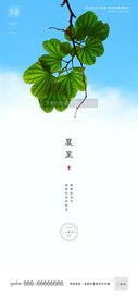 夏至