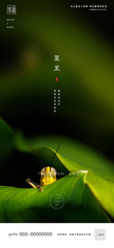 夏至