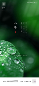 小暑