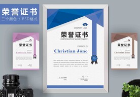 荣誉证书时尚竖版证书
